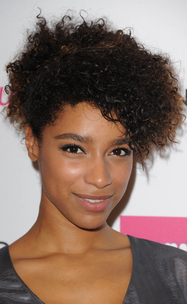 Natural Hairstyle For Black Hair
 2014 Natural Hairstyles for Black Women – The Style News