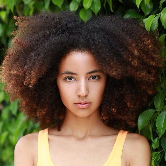Natural Kinky Hairstyles
 528 best images about Natural Hair Styles on Pinterest
