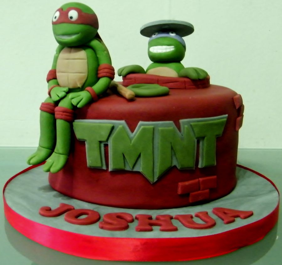 Ninja Turtles Birthday Cakes
 Ninja Turtle Cakes – Decoration Ideas