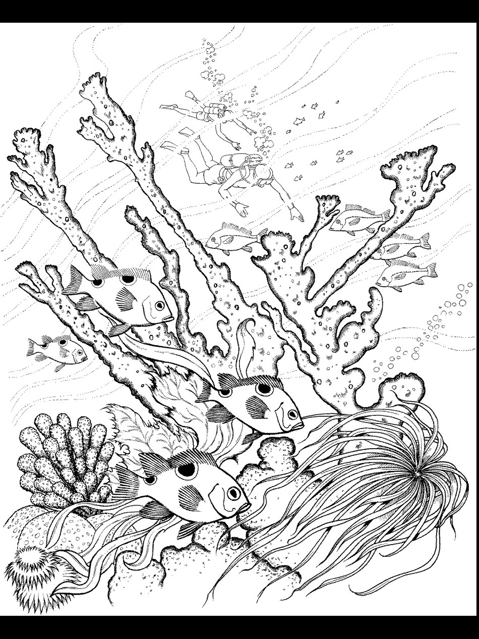 Ocean Adult Coloring Pages
 Ocean Coloring Pages PrimaryGames