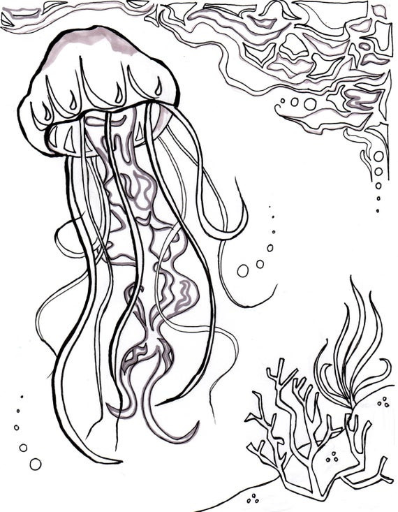 Ocean Adult Coloring Pages
 Jellyfish Ocean Ocean Coloring Sheet Aquatic Art Sea