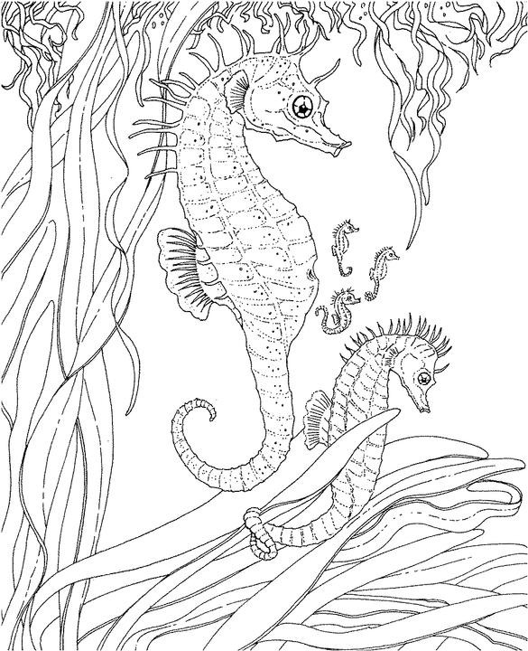 Ocean Adult Coloring Pages
 Seascape Ocean Coloring Page