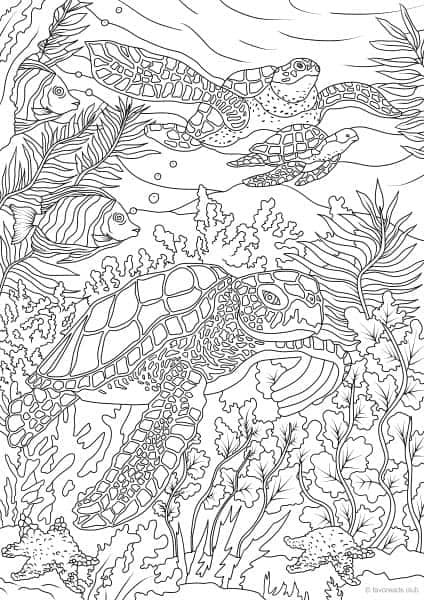 Ocean Adult Coloring Pages
 Ocean Life Turtles Printable Adult Coloring Pages from