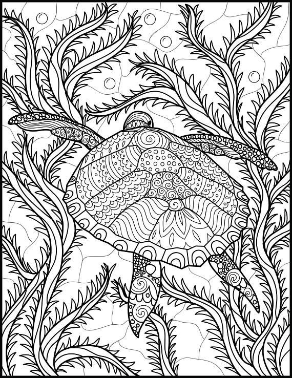 Ocean Adult Coloring Pages
 2 Adult Coloring Pages Animal Coloring Page Printable