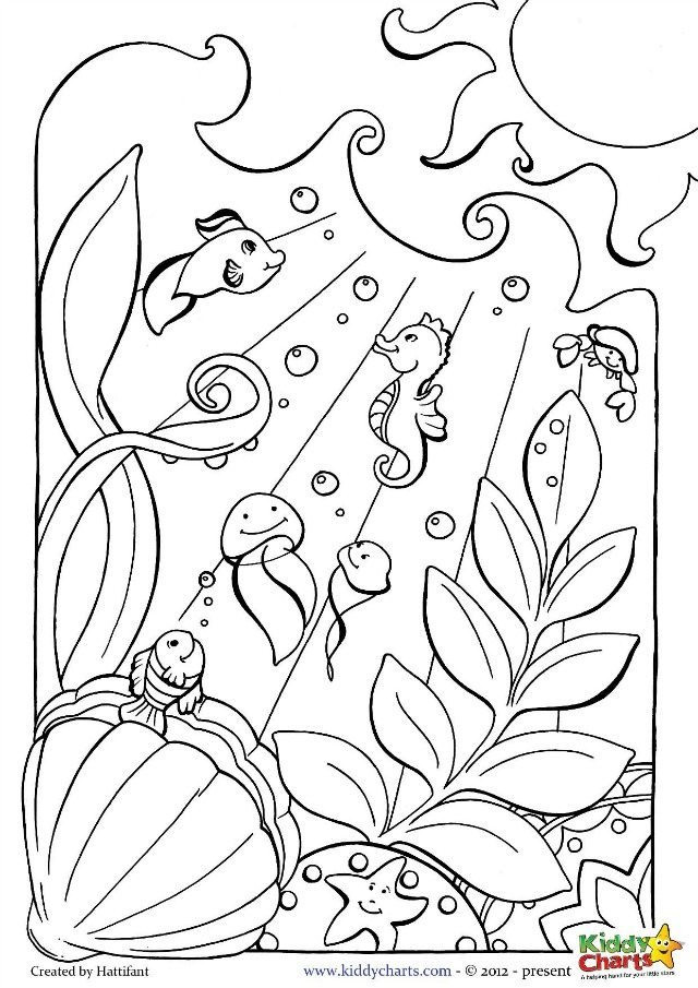 Ocean Adult Coloring Pages
 Ocean coloring pages for kids and adults
