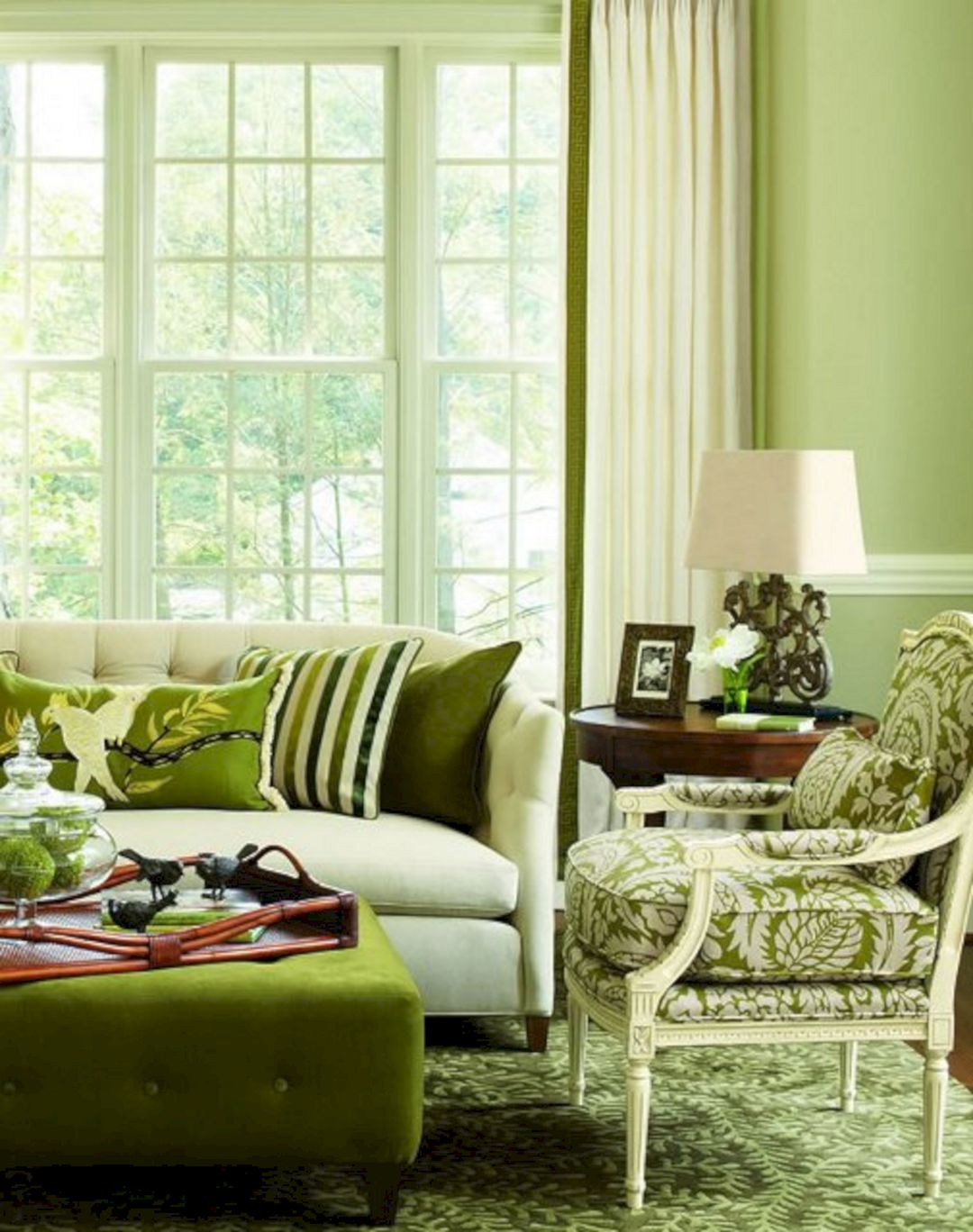 Olive Green Living Room Ideas
 Olive Green Living Room Color Olive Green Living Room