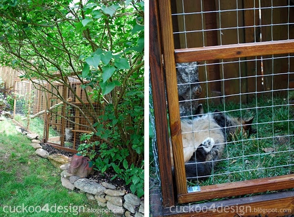 Outdoor Cat Enclosure DIY
 Easy DIY Cat Enclosure to keep your indoor cats happy and safe