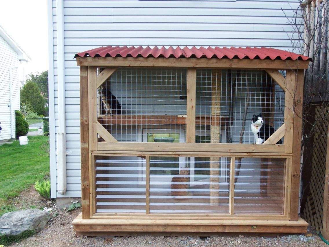 Outdoor Cat Enclosure DIY
 Our DIY catio Cat condo
