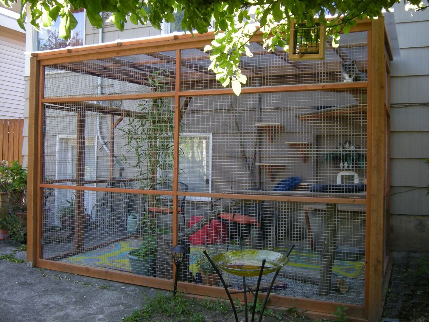 Outdoor Cat Enclosure DIY
 10 Amazing catios that ll make your cat love you forever
