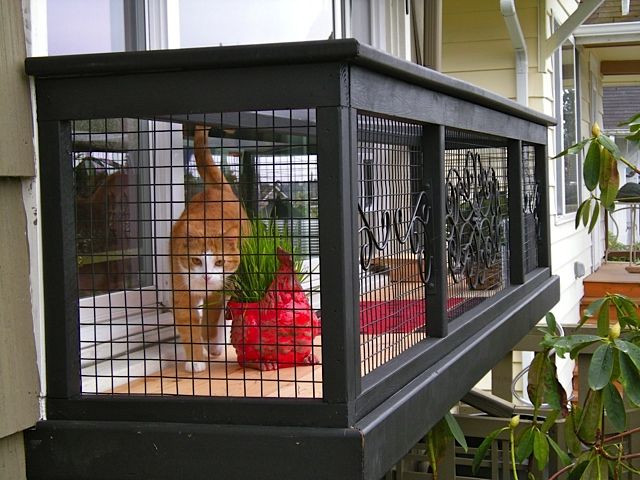 Outdoor Cat Enclosure DIY
 A Catio is the Coolest Thing You Never Knew Your Cat