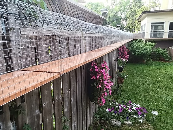 Outdoor Cat Enclosure DIY
 Another awesome outdoor cat enclosure