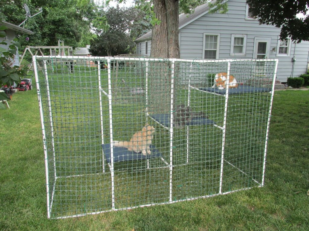 Outdoor Cat Enclosure DIY
 Cat Enclosure