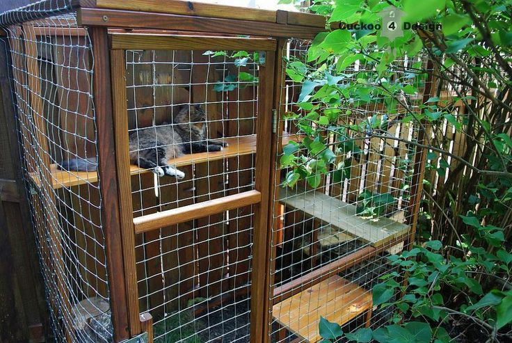 Outdoor Cat Enclosure DIY
 DIY outdoor cat enclosure