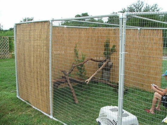Outdoor Cat Enclosure DIY
 Diy Outdoor Cat Enclosures pet ideas