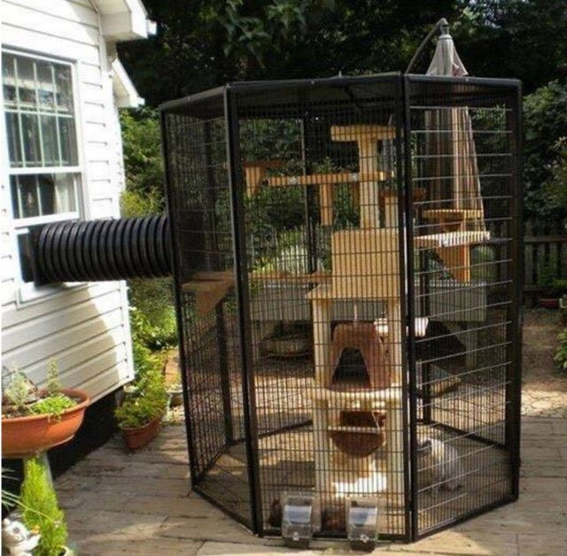 Outdoor Cat Enclosure DIY
 Home Design Garden & Architecture Blog Magazine