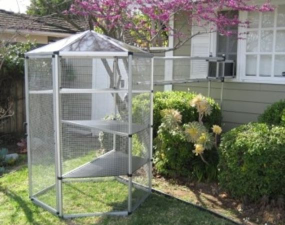 Outdoor Cat Enclosure DIY
 How to Buy an Outdoor Cat Enclosure Cheap