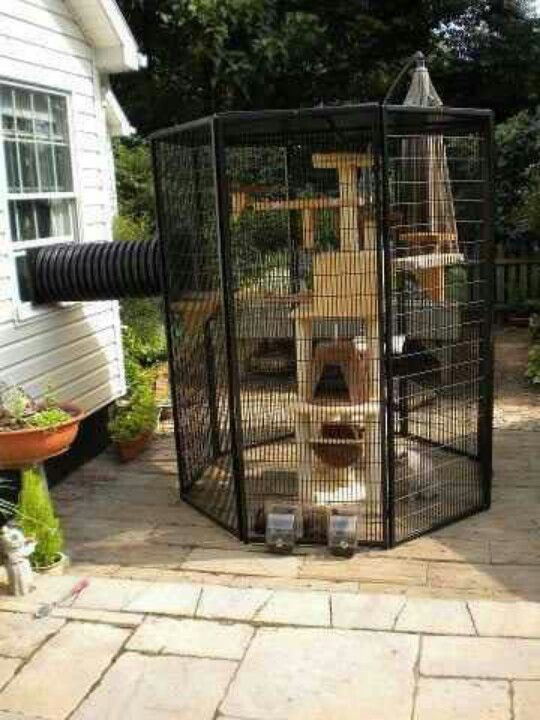 Outdoor Cat Enclosure DIY
 8 Catrageous Ways Your Cat Can Enjoy The Outdoors Safely