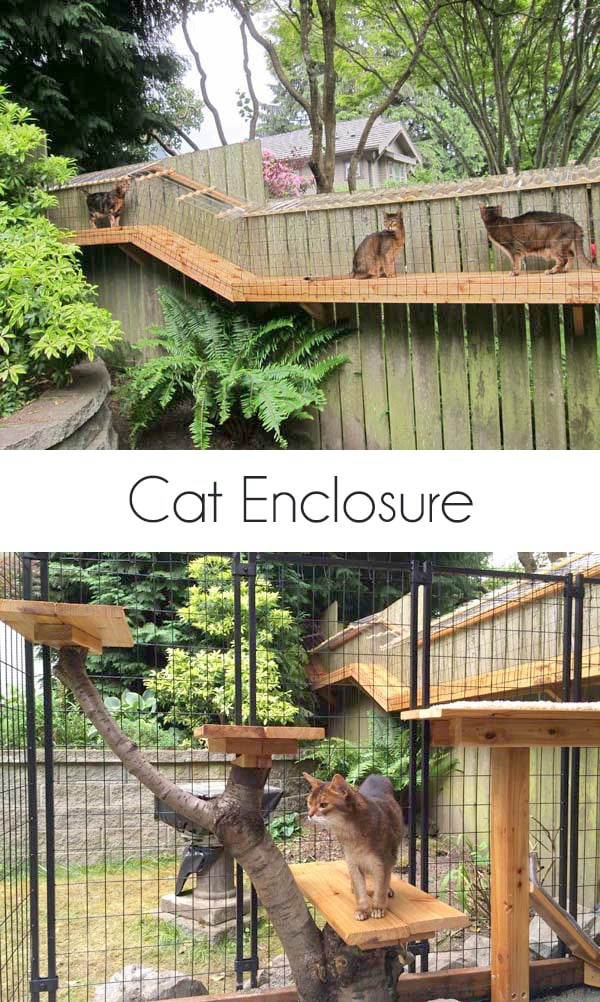 Outdoor Cat Enclosure DIY
 Awesome DIY backyard Cat Enclosure