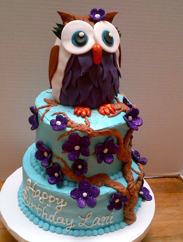 Owl Birthday Cakes
 Plumeria Cake Studio Owl Birthday Cake