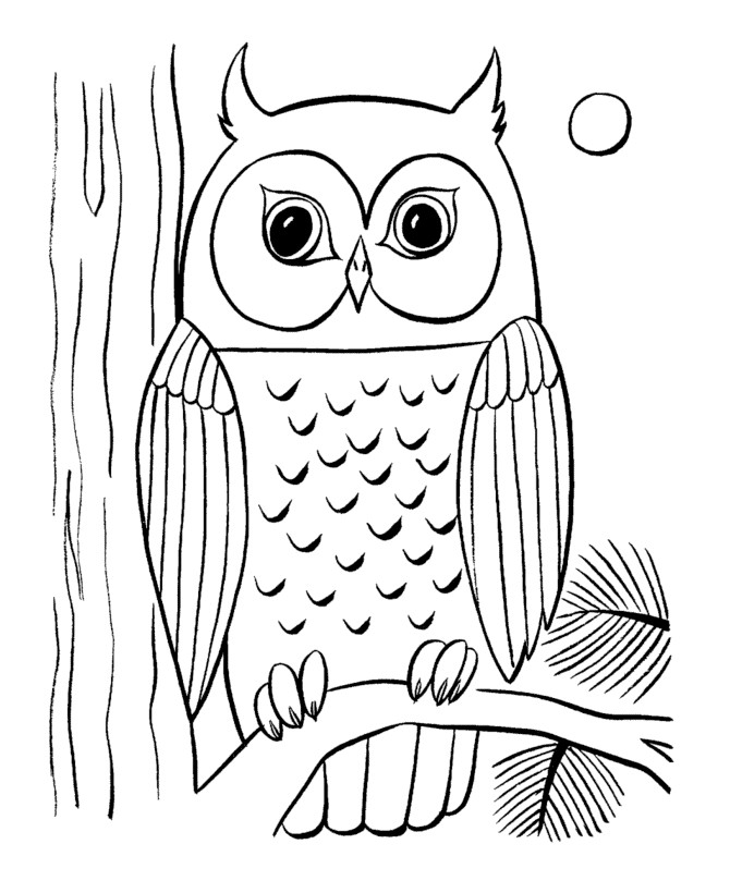 Owl Coloring Pages For Kids
 Owls Animal Coloring Pages