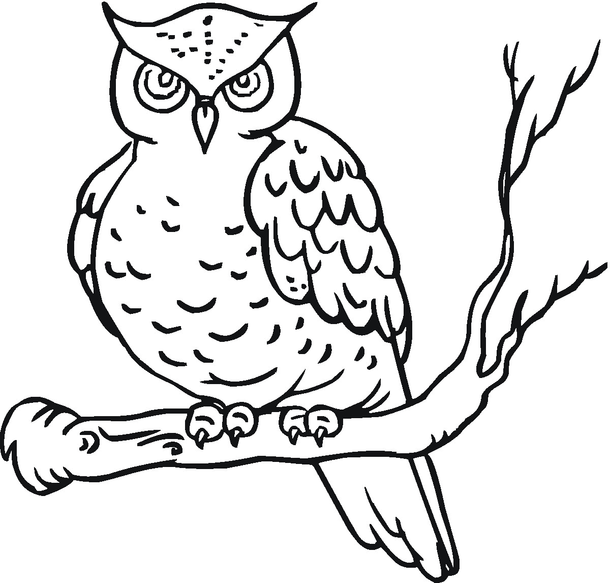 Owl Coloring Pages For Kids
 Owl Coloring Pages Kidsuki