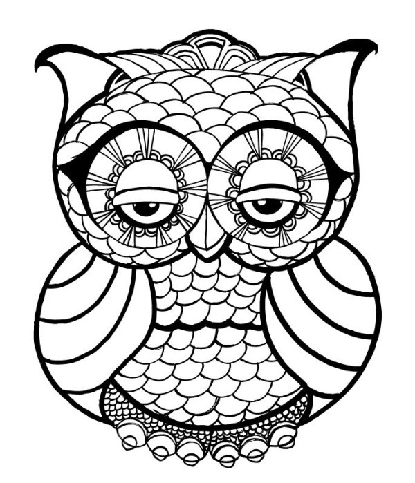 Owl Coloring Pages Printable
 OWL Coloring Pages for Adults Free Detailed Owl Coloring