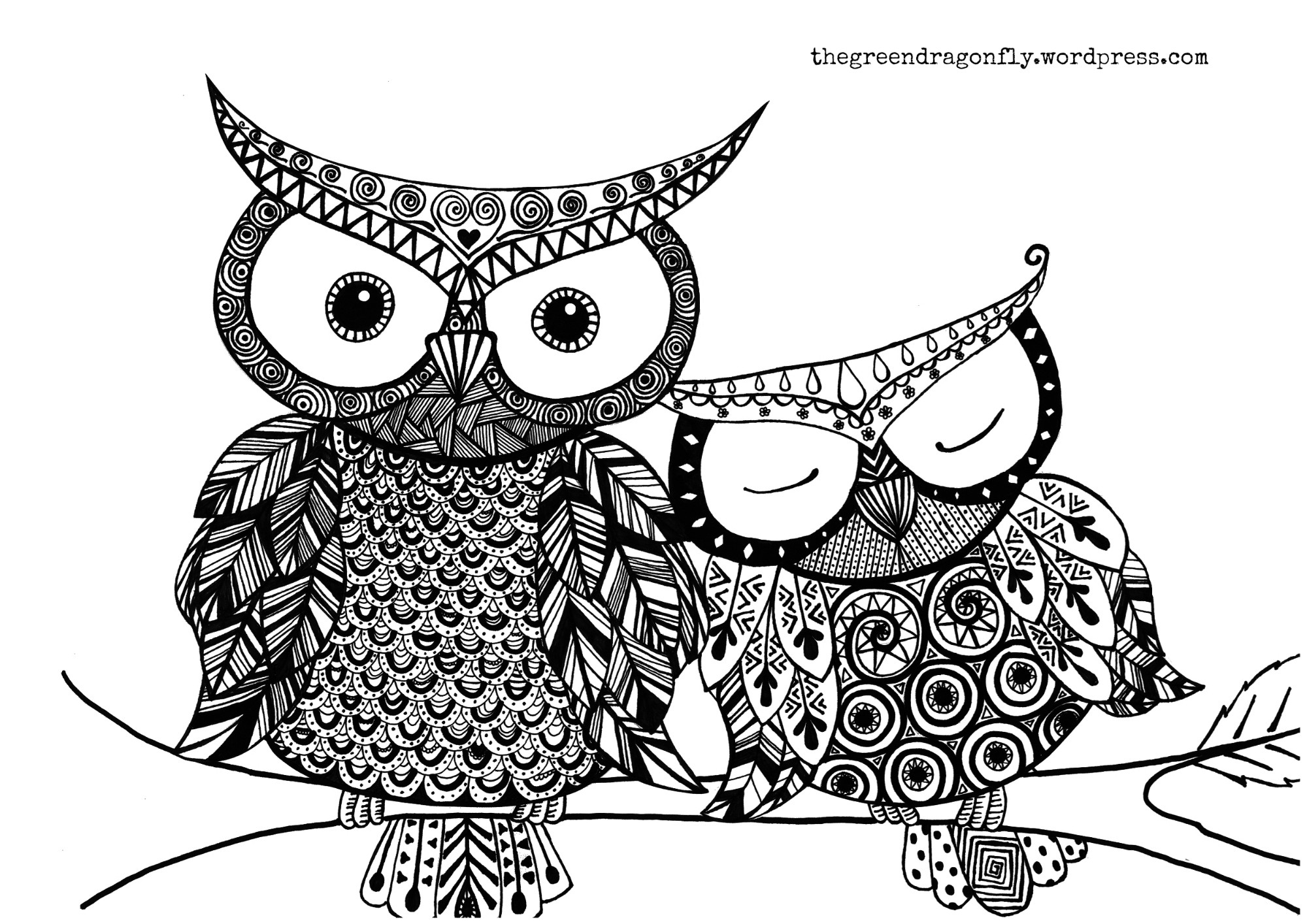 Owl Coloring Pages Printable
 Coloring sheet – The Green Dragonfly