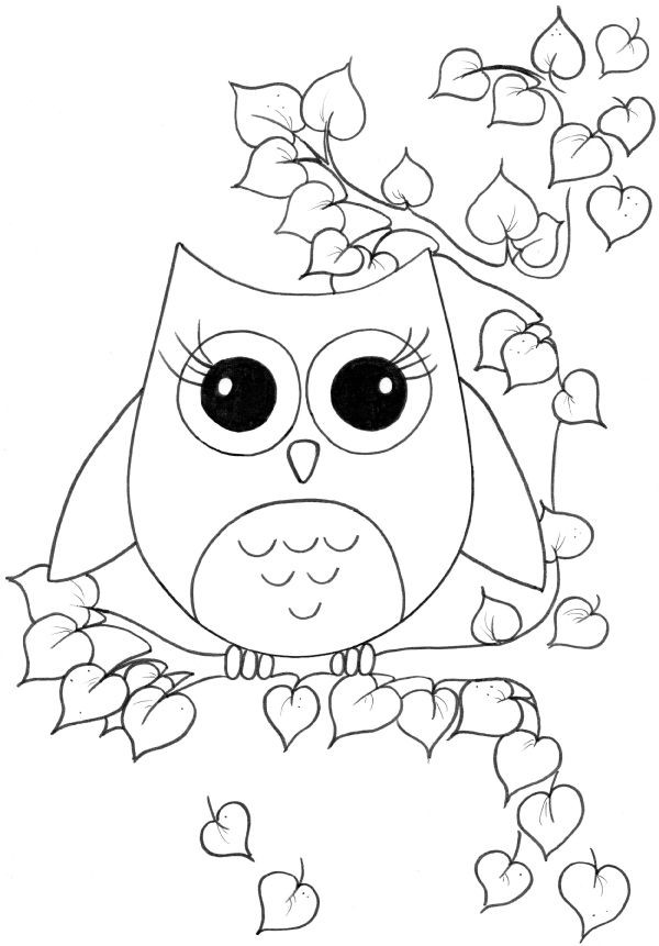 Owl Coloring Pages Printable
 Nocturnal Bird Owl coloring pages 34 pictures cartoon clip