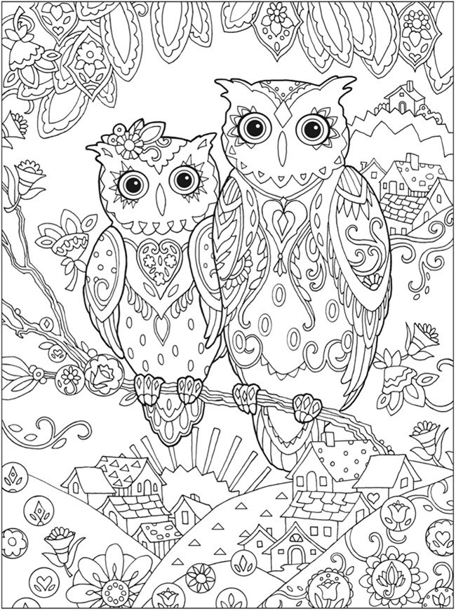 Owl Coloring Pages Printable
 Printable Coloring Pages for Adults 15 Free Designs
