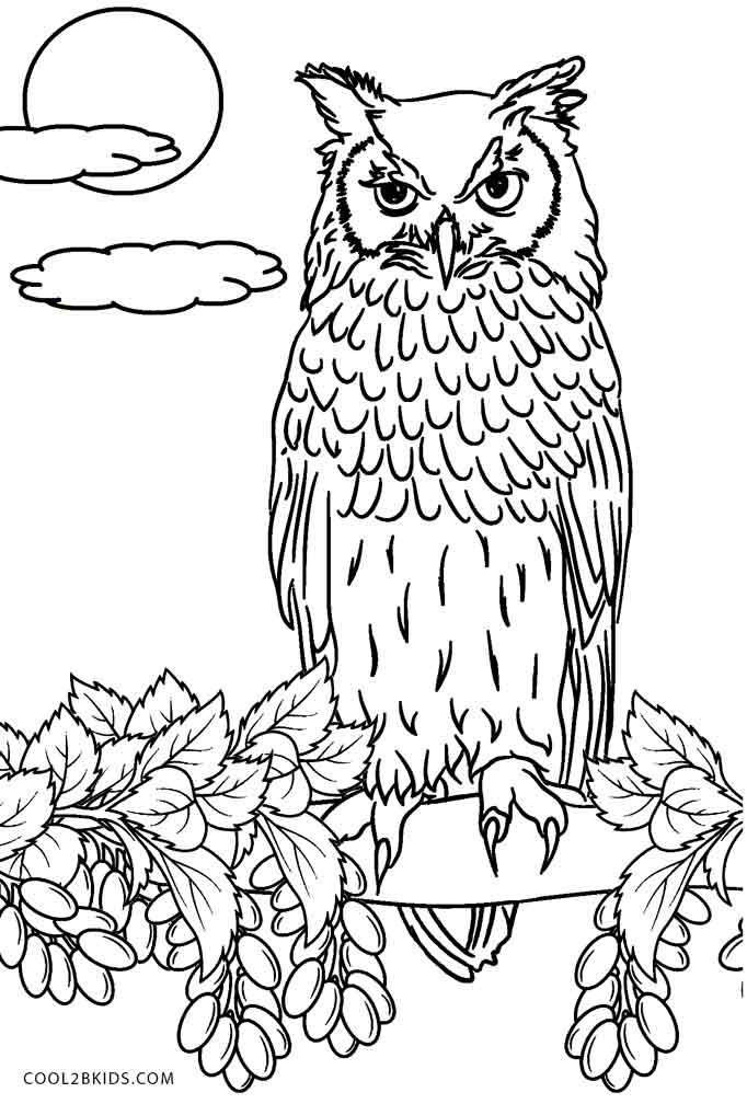 Owl Coloring Pages Printable
 Free Printable Owl Coloring Pages For Kids