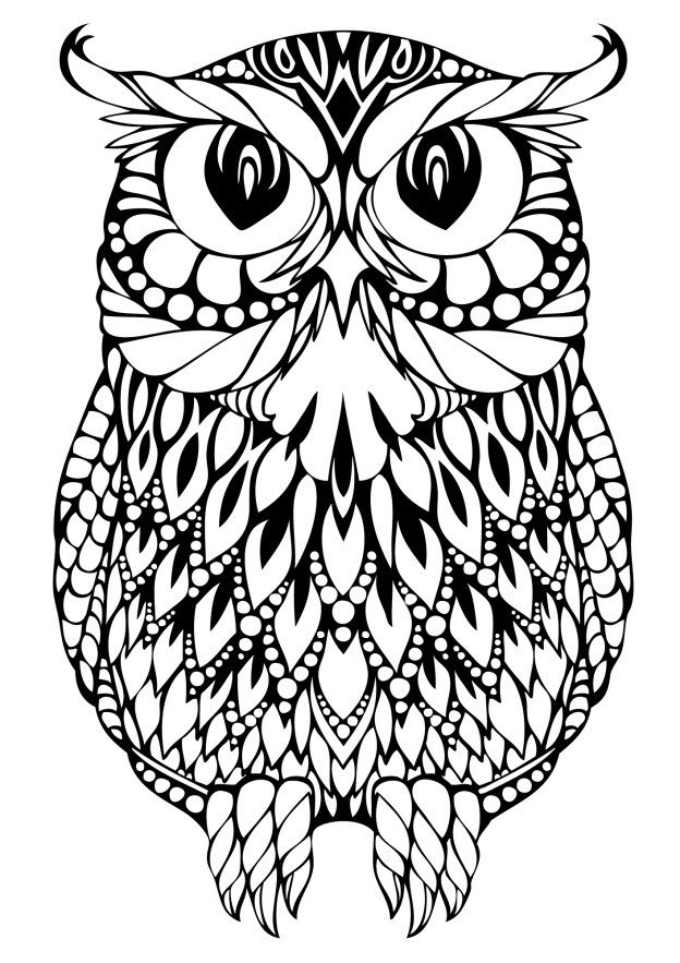 Owl Coloring Pages Printable
 OWL Coloring Pages for Adults Free Detailed Owl Coloring