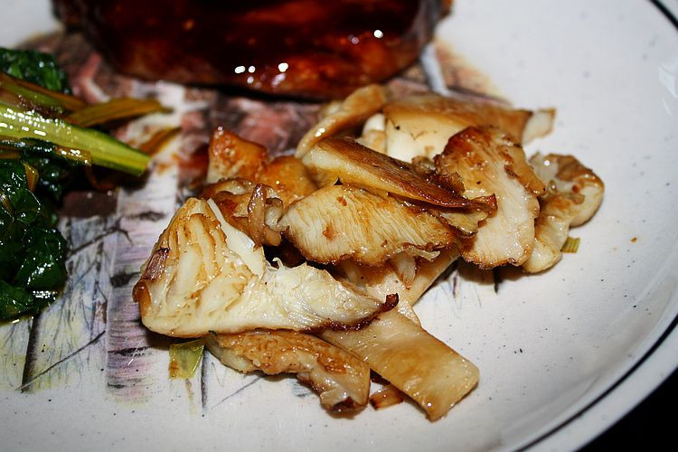 Oyster Mushrooms Recipe
 Oyster Mushroom Recipe With Sage and Garlic A Life In