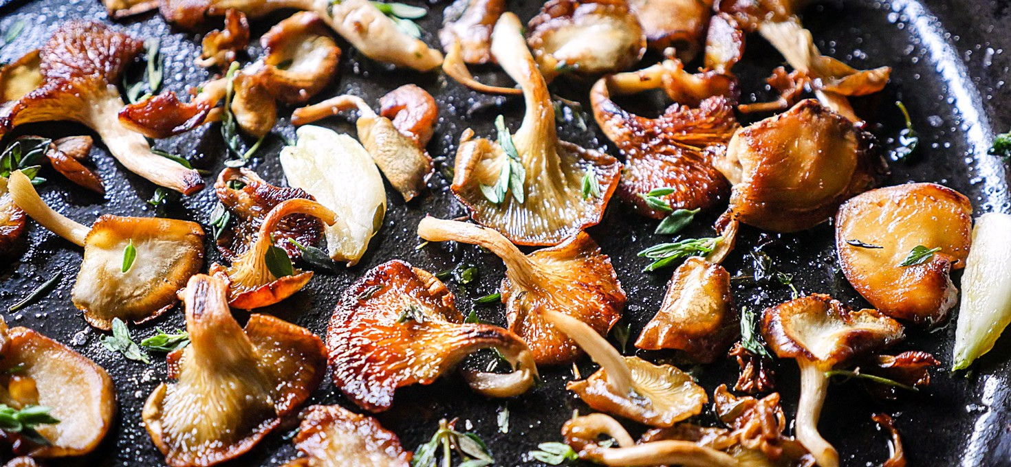 Oyster Mushrooms Recipe
 Pan Fried Oyster Mushrooms The Sophisticated Caveman