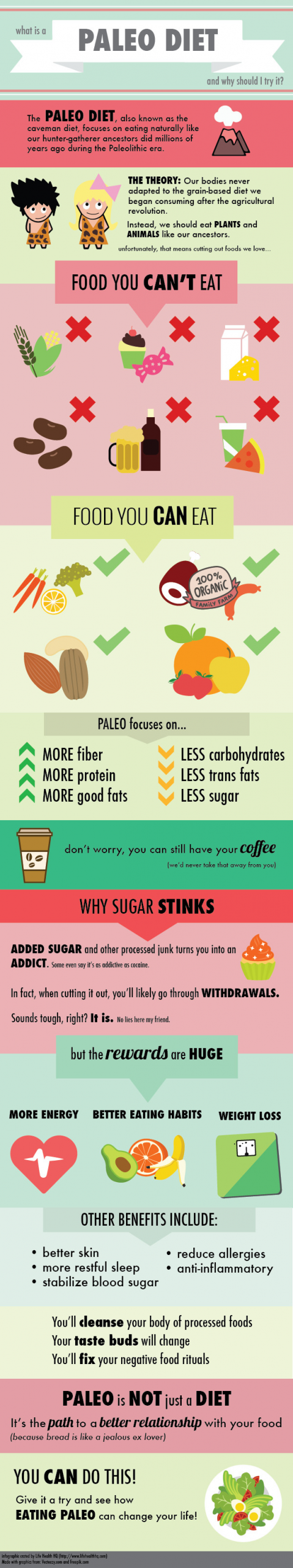 Paleo Diet Infographic
 What Is a Paleo Diet infographic Visualistan