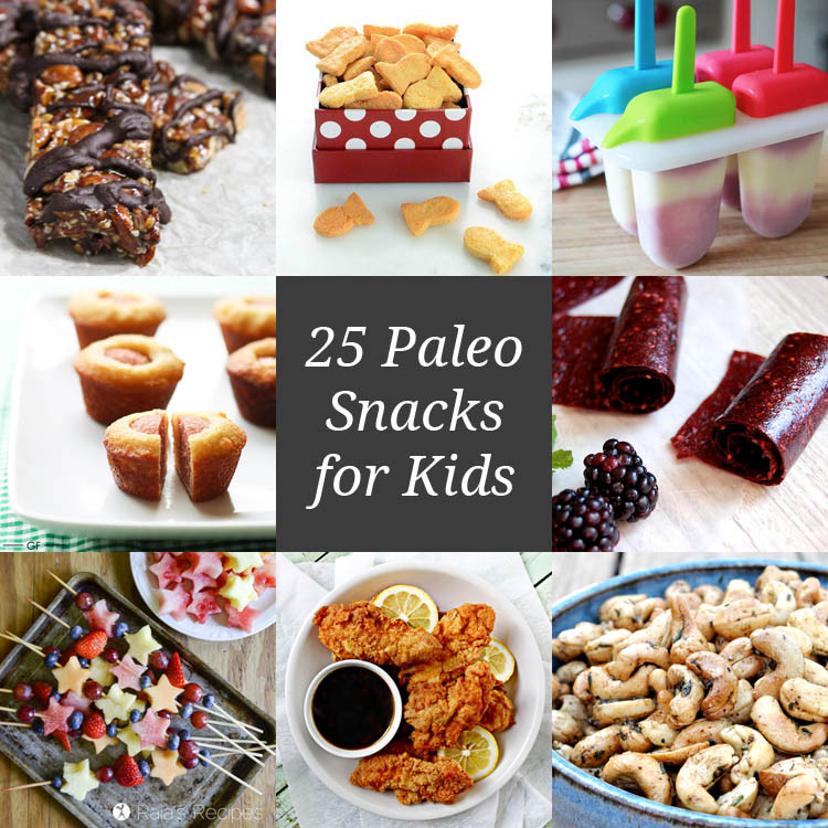 Paleo Kids Recipes
 Paleo Snacks For Kids