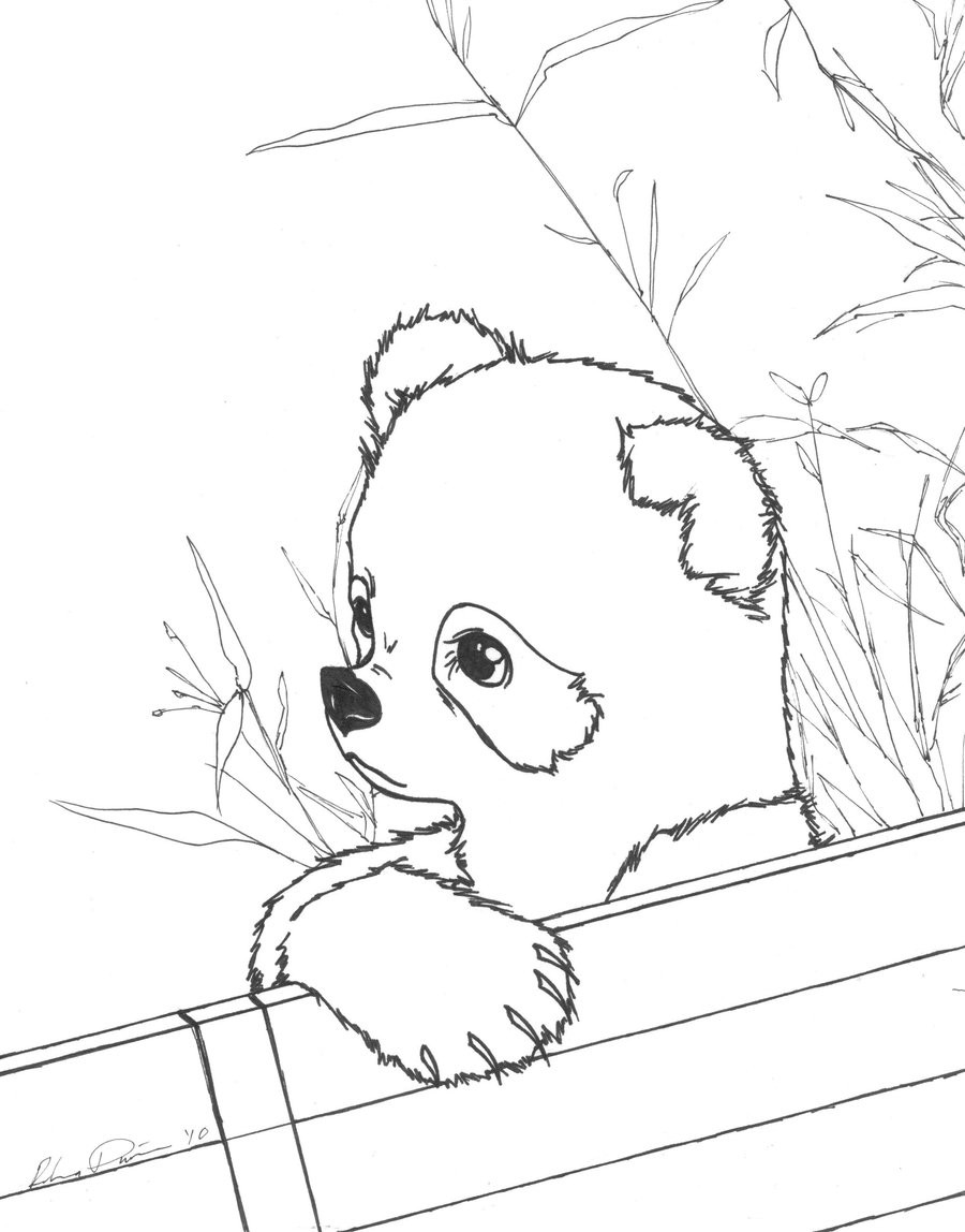 Panda Coloring Pages For Kids
 Free Printable Panda Coloring Pages For Kids