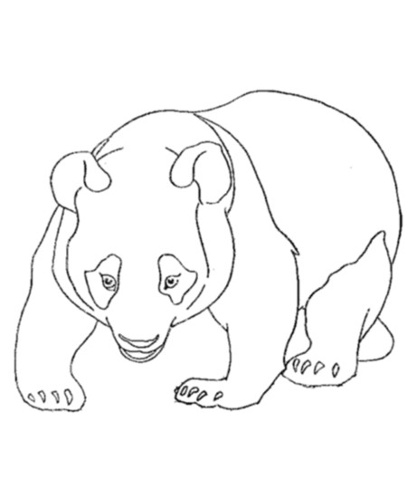 Panda Coloring Pages For Kids
 Cute Panda Bear Coloring Pages for Kids Disney Coloring