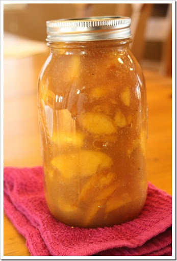 Peach Canning Recipes
 Homemade Canned Peach Pie Filling