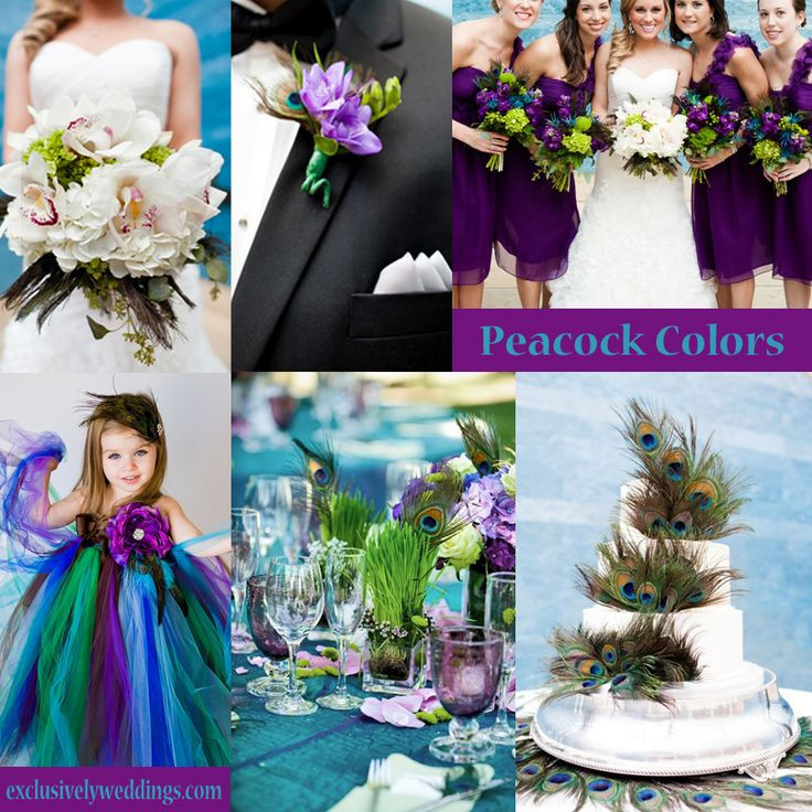 Peacock Color Wedding
 120 best Peacock Colors Wedding images on Pinterest