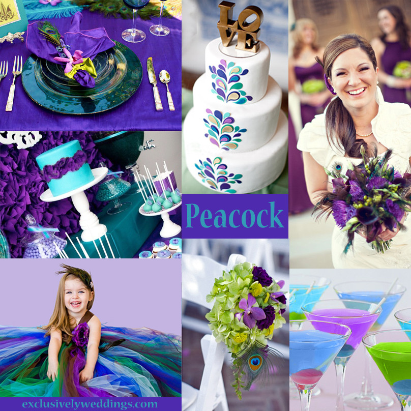 Peacock Color Wedding
 Your Wedding Colors – Peacock