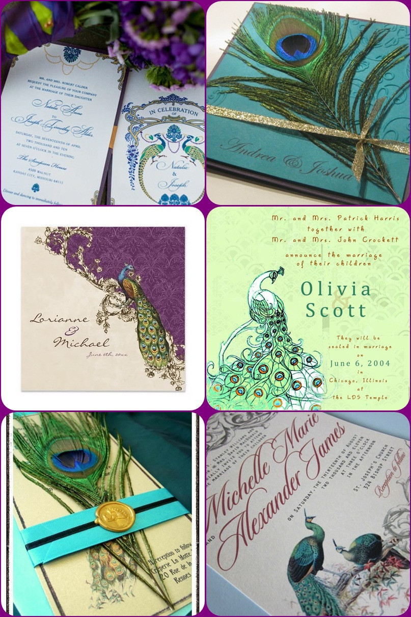 Peacock Wedding Invitation
 Peacock Wedding Ideas and Inspirations – A Wedding Blog