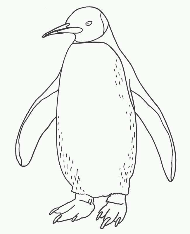 Penguin Coloring Pages For Kids
 Free Printable Penguin Coloring Pages For Kids