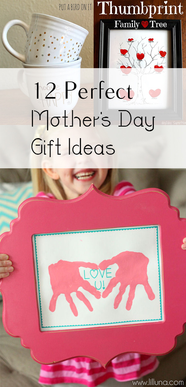 Perfect Father'S Day Gift Ideas
 12 Great Mother s Day Gift Ideas