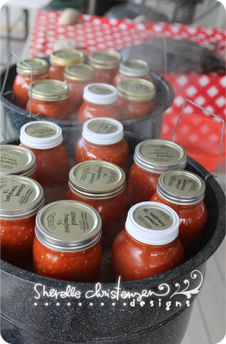 Pizza Sauce Recipe For Canning
 Recipes for Canning Tomatoes Stewed Tomatoes Pizza Sauce