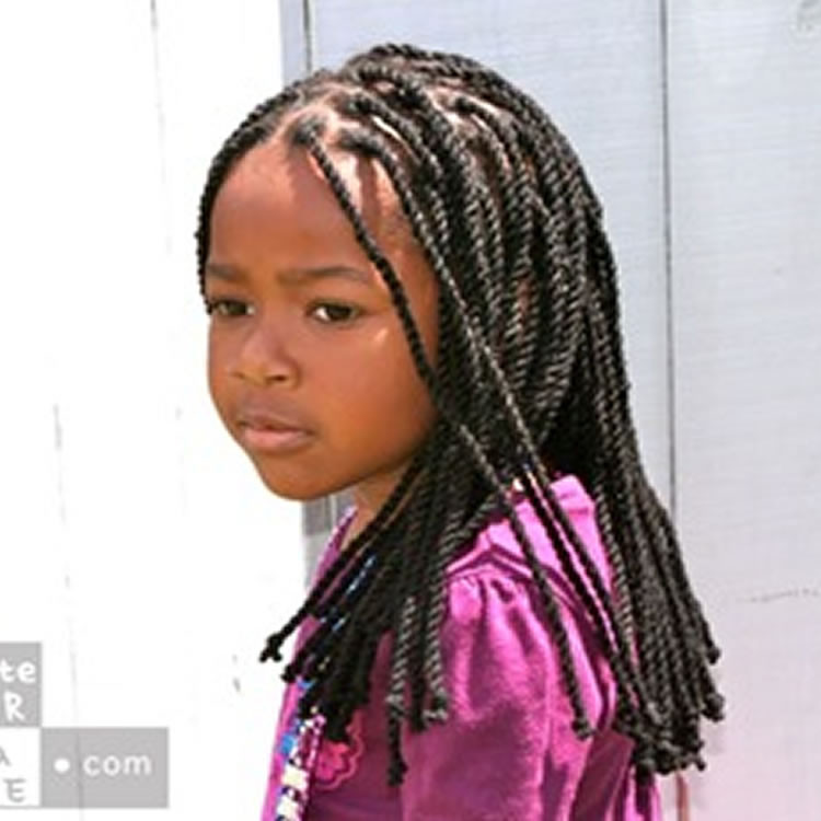 Plaits Hairstyles Black
 64 Cool Braided Hairstyles for Little Black Girls – Page 6