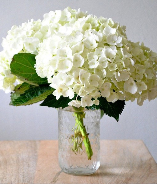 Popular Wedding Flowers
 Top 5 Most Popular Wedding Flowers – Bloomerent