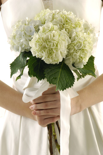 Popular Wedding Flowers
 If The Ring Fits THE 10 MOST POPULAR WEDDING FLOWERS