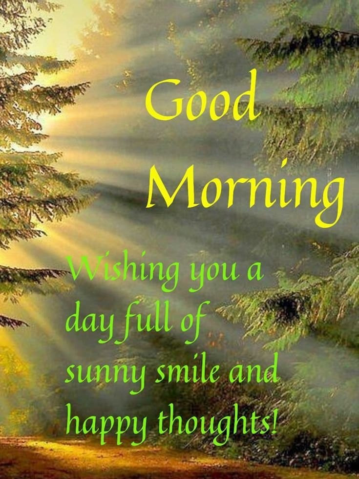 Positive Good Morning Quotes
 57 of the Good Morning Quotes And Positive Energy