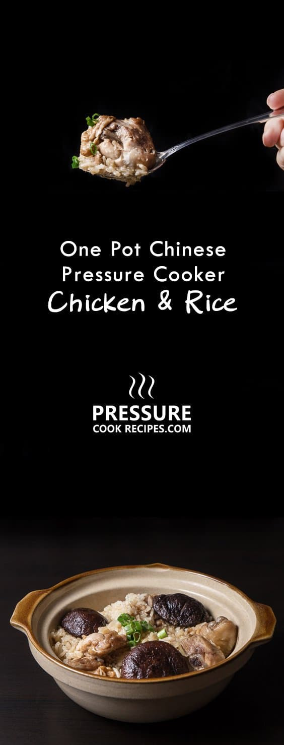 Pressure Cooker Chinese Recipes
 e Pot Pressure Cooker Chicken and Rice Recipe