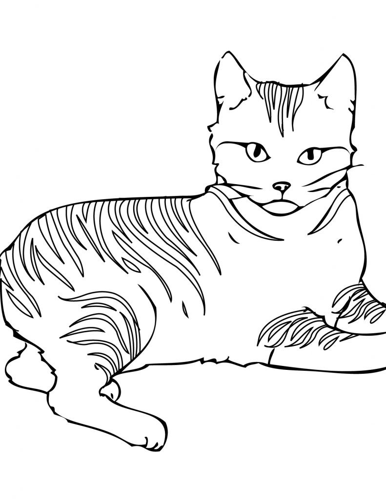 Printable Cat Coloring Pages
 Free Printable Cat Coloring Pages For Kids